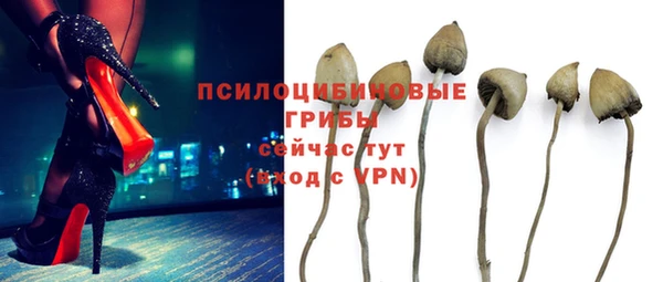 mdpv Остров