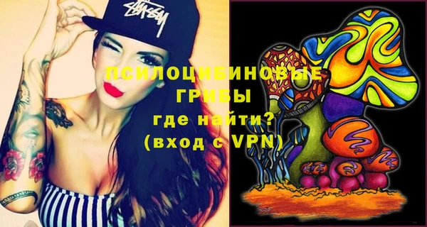 спиды Осташков