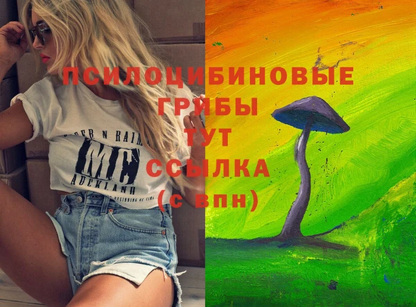 соль курить ск Армянск