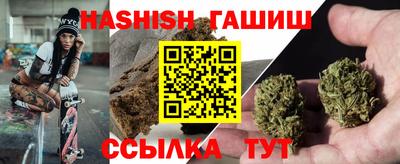 ALPHA PVP Пугачёв