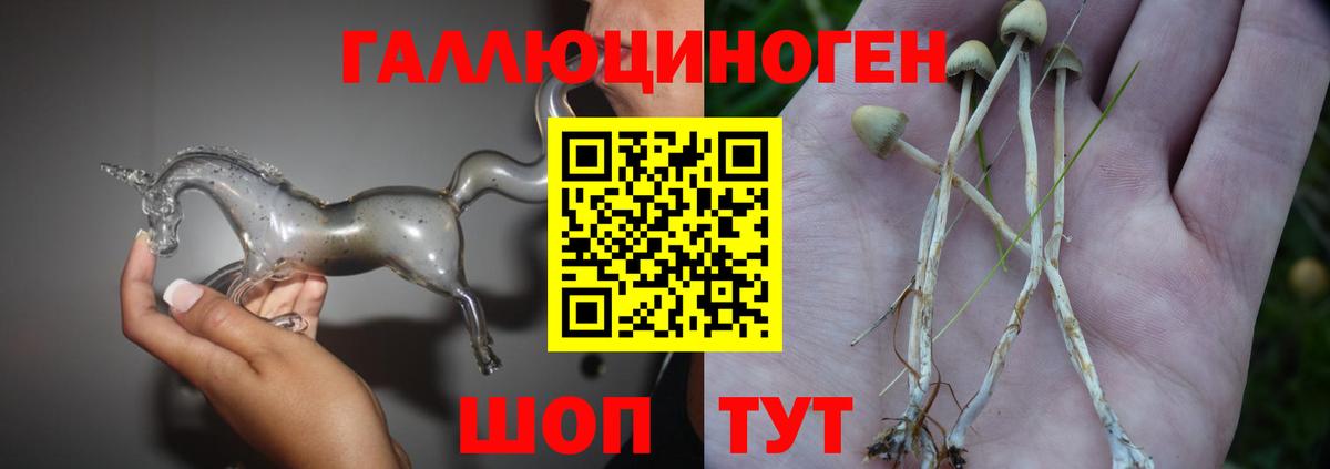 Галлюциногенные грибы прущие грибы Чернушка